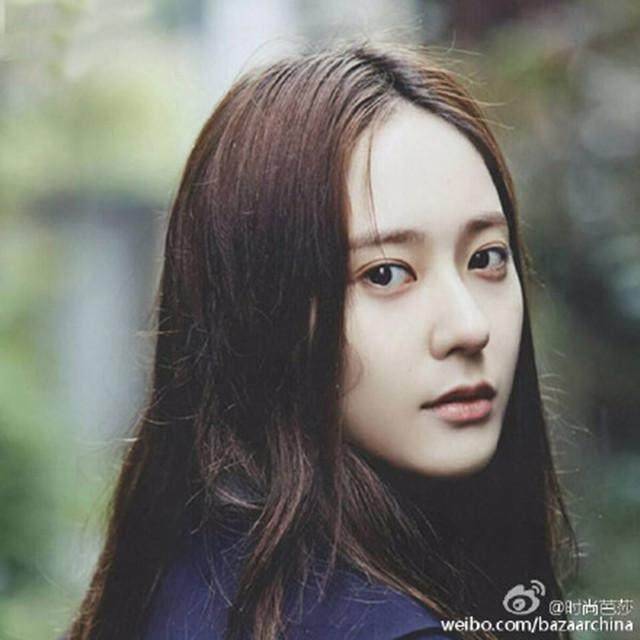 新月魅影 专题3